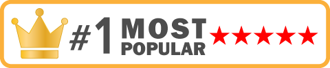 1 Most Popular